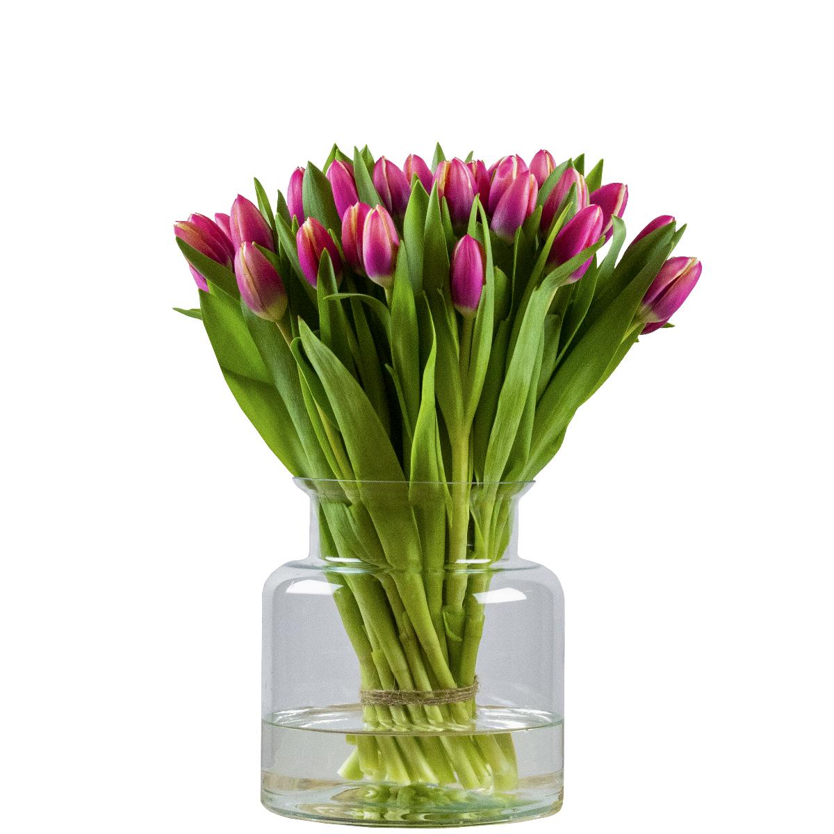 handicap Almachtig Perfect Multicolour (vrolijk) Tulpen Online Kopen | Tulpen.nl